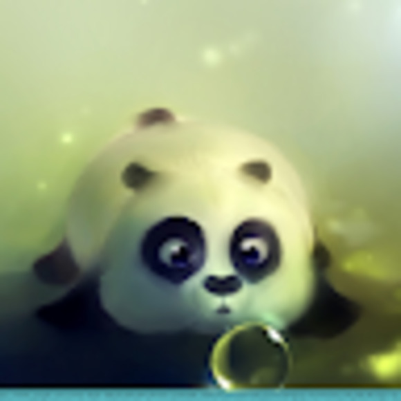 Meet your Posher, Savannah - Picture 1 of 1